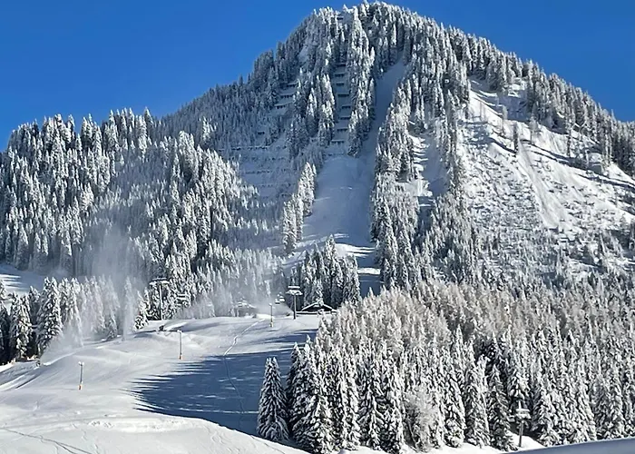 Διαμέρισμα Zur Rose